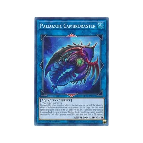 Paleozoic Cambroraster - LIOV-EN047