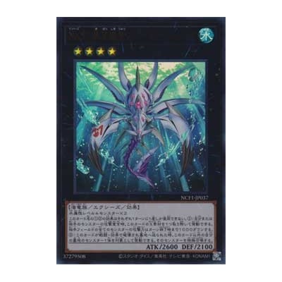 Number 37: Hope Woven Dragon Spider Shark - NCF1-JP037