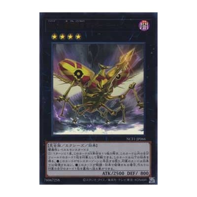 Number 66: Master Key Beetle - NCF1-JP066