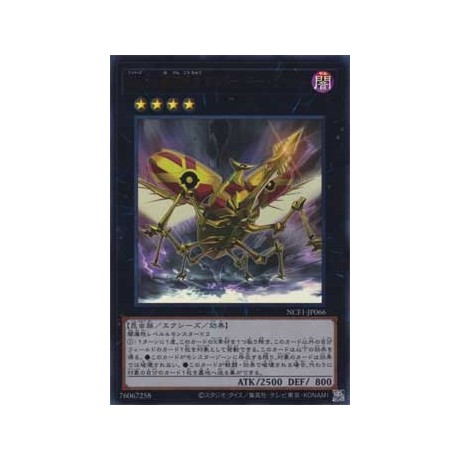 Number 66: Master Key Beetle - NCF1-JP066