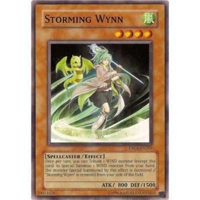 Storming Wynn - EOJ-EN029