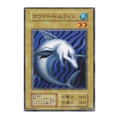 White Dolphin - B2-92409659