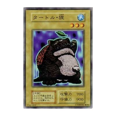 Turtle Raccoon - B5-17441953 - Usada