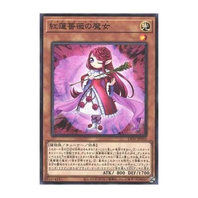 Ruddy Rose Witch - LIOV-JP010