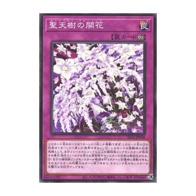 Sunavalon Bloom - SLT1-JP039