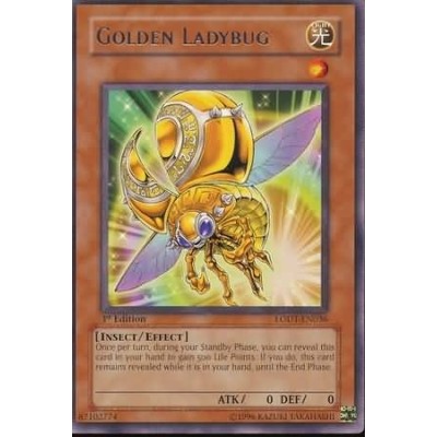 Golden Ladybug - LODT-EN036