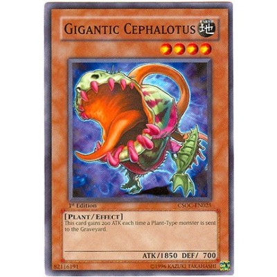 Gigantic Cephalotus - CSOC-EN025