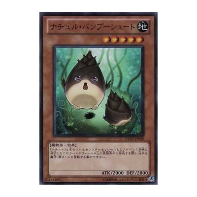 Naturia Bamboo Shoot - DREV-JP029