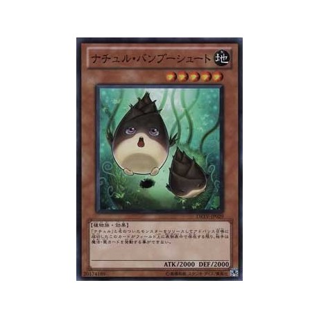 Naturia Bamboo Shoot - DREV-JP029