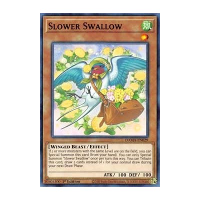 Slower Swallow - DAMA-EN029