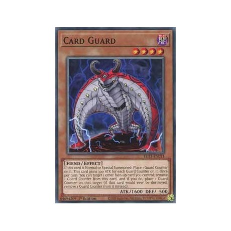 Card Guard - EGS1-EN011