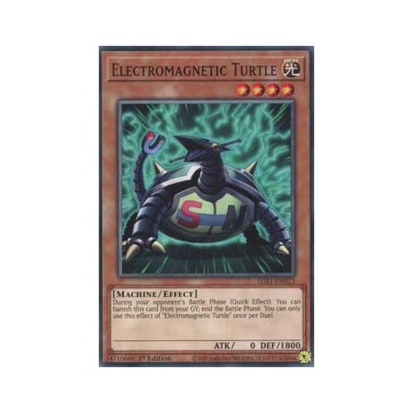 Electromagnetic Turtle - EGS1-EN013