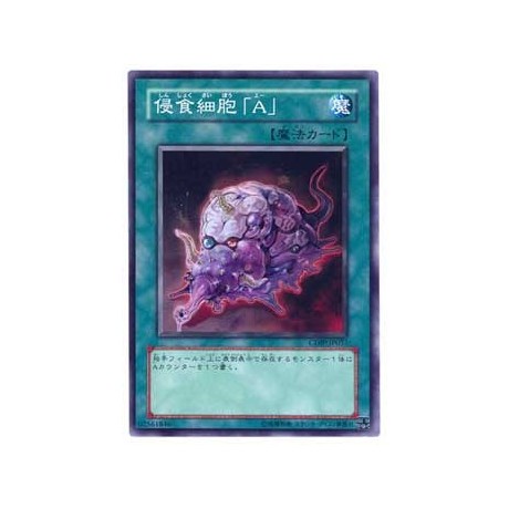 Corruption Cell A - CDIP-KR037