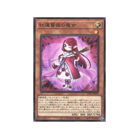 Ruddy Rose Witch - LIOV-KR010