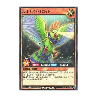 Luminous Parrot - RD/KP03-KR036