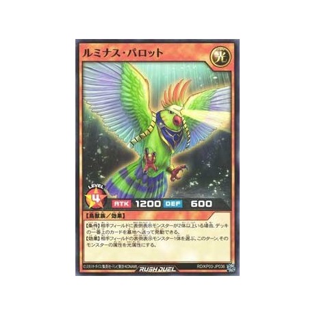 Luminous Parrot - RD/KP03-KR036