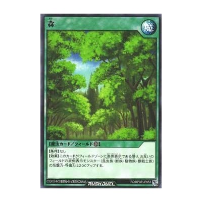 Forest - RD/KP03-KR053