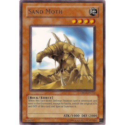 Sand Moth - SOI-EN032