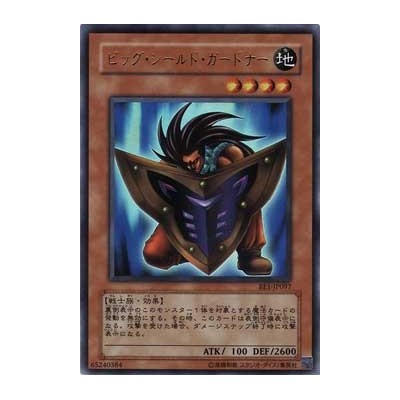 Big Shield Gardna - BE1-JP097