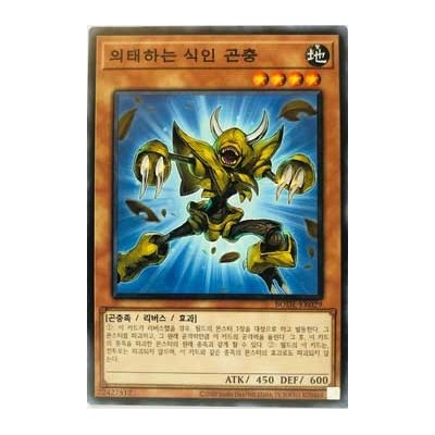 Mimicking Man-Eater Bug - BODE-KR029