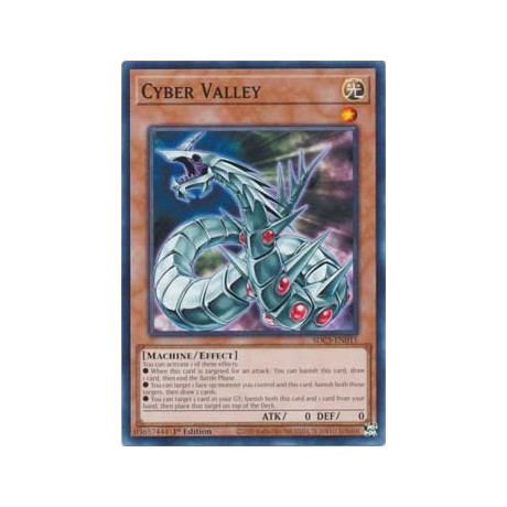 Cyber Valley - SDCS-EN011