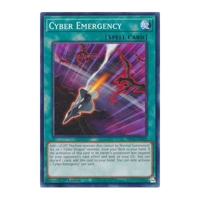 Cyber Emergency - SDCS-EN025