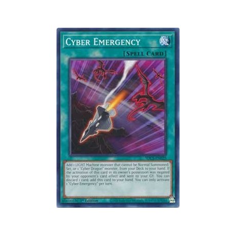 Cyber Emergency - SDCS-EN025