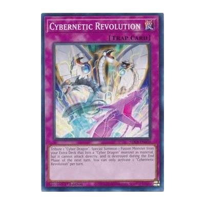 Cybernetic Revolution - SDCS-EN035