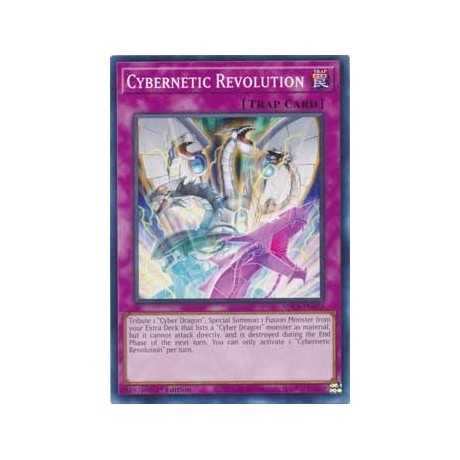 Cybernetic Revolution - SDCS-EN035