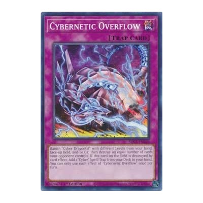 Cybernetic Overflow - SDCS-EN040