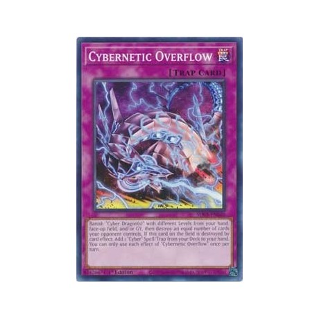 Cybernetic Overflow - SDCS-EN040