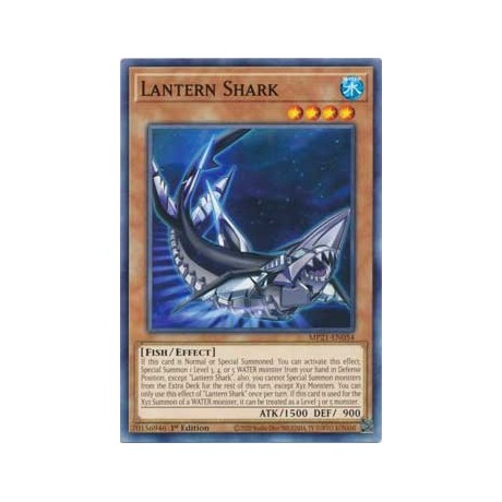 Lantern Shark - MP21-EN054