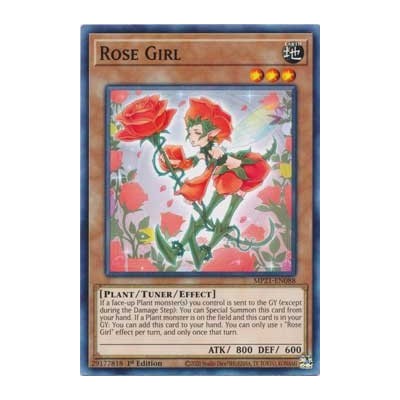 Rose Girl - MP21-EN088