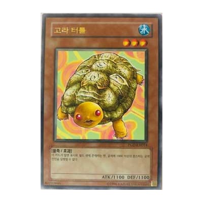 Gora Turtle - PGD-KR014