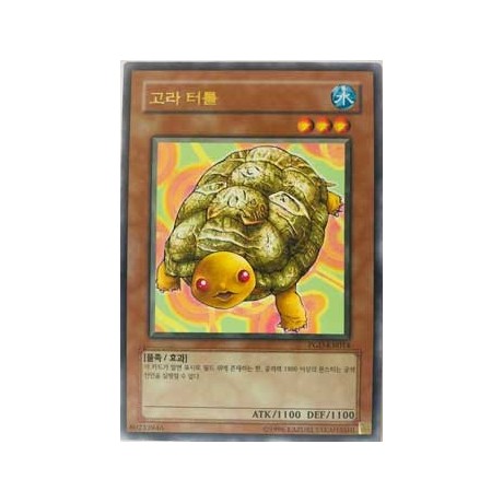 Gora Turtle - PGD-KR014