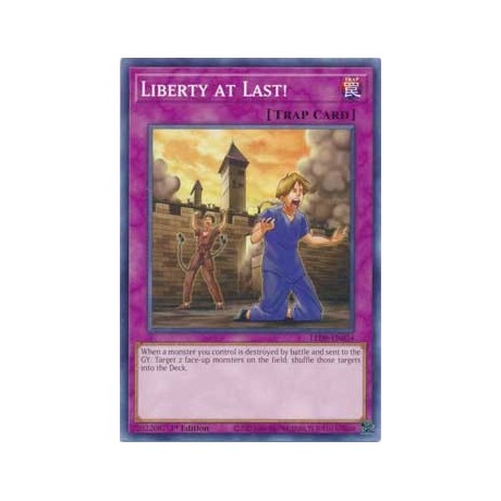 Liberty at Last! - LED8-EN034