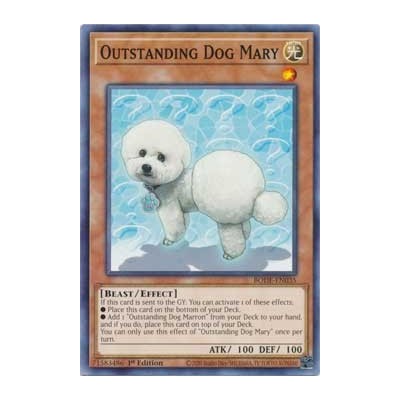 Outstanding Dog Mary - BODE-EN035