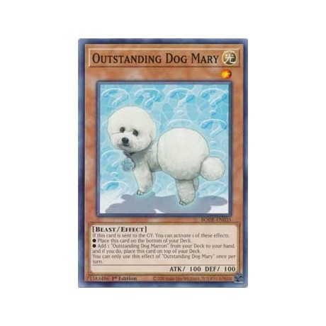 Outstanding Dog Mary - BODE-EN035