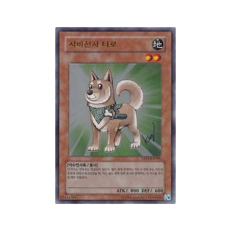 Shiba-Warrior Taro - YAP1-KR008