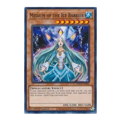 Medium of the Ice Barrier - HAC1-EN034