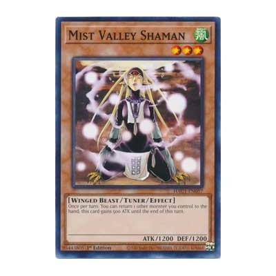 Mist Valley Shaman - HAC1-EN057