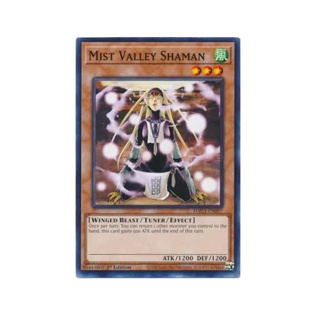 Mist Valley Shaman - HAC1-EN057