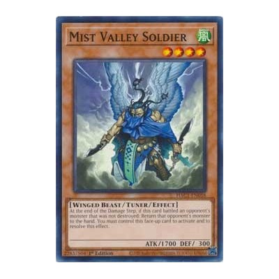 Mist Valley Soldier - HAC1-EN058