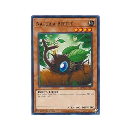 Naturia Beetle - HAC1-EN093