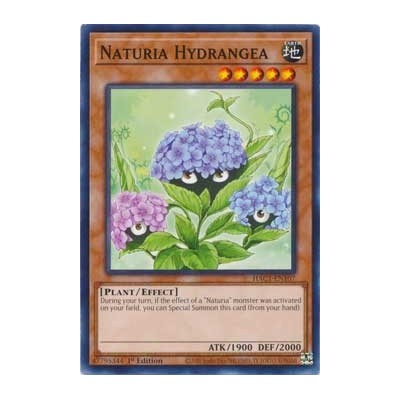 Naturia Hydrangea - HAC1-EN107