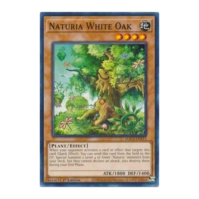 Naturia White Oak - HAC1-EN115