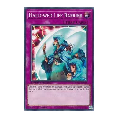 Hallowed Life Barrier - SGX1-ENE18