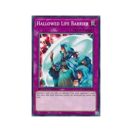 Hallowed Life Barrier - SGX1-ENE18