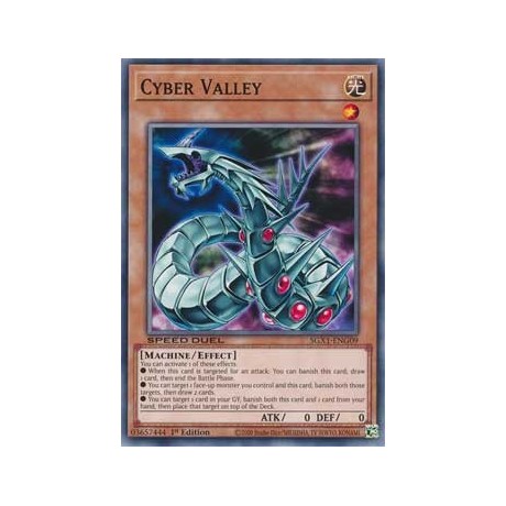 Cyber Valley - SGX1-ENG09