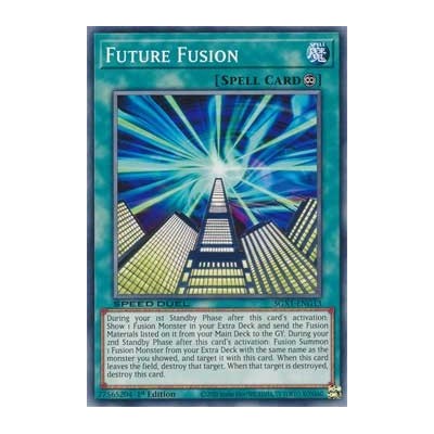 Future Fusion - SGX1-ENG13